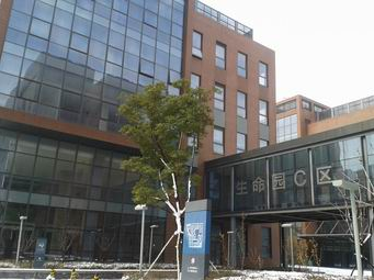 GL Biochem company overview and R&D capabilities